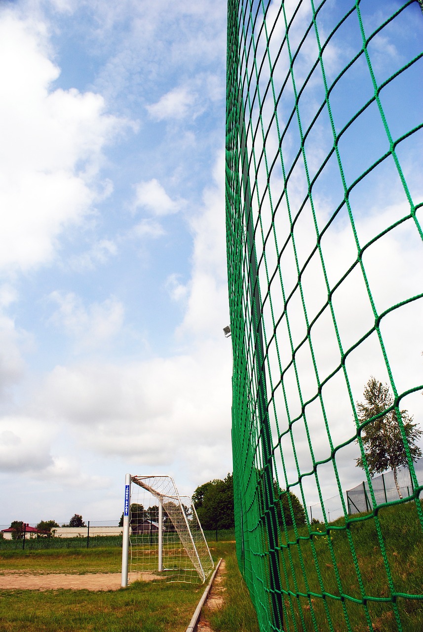 年羽毛球赛 年羽毛球赛