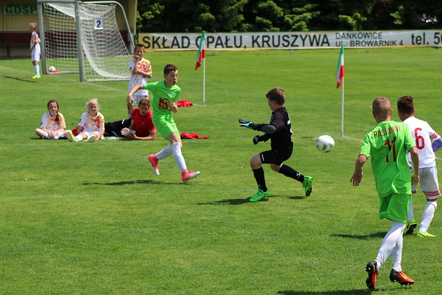 青少年羽毛 青少年羽毛