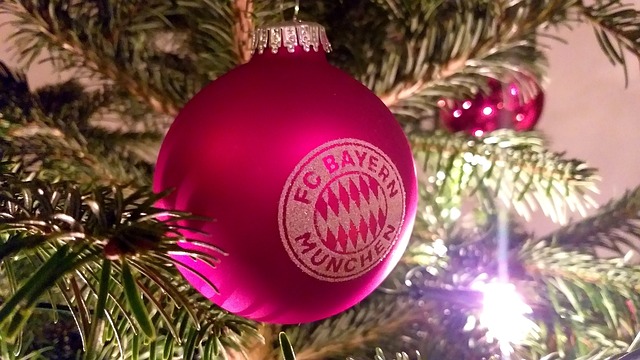 提供了大量 提供了大量