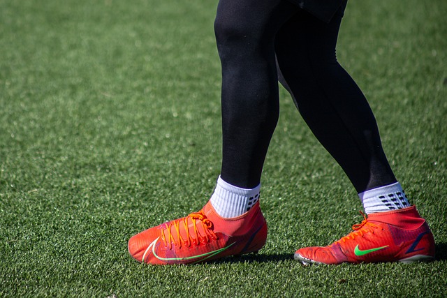 球迷和业内 球迷和业内