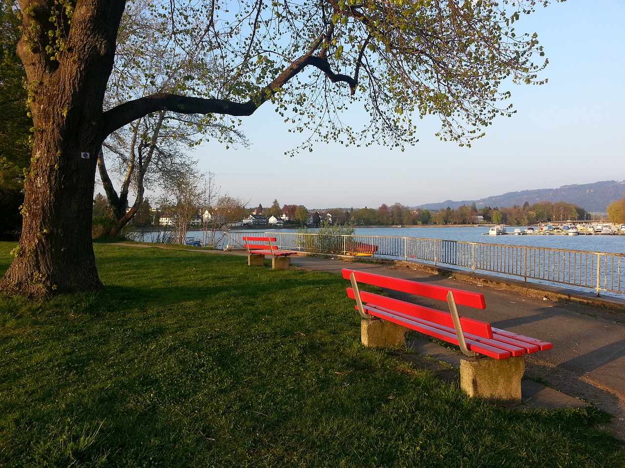 显然揭示了 显然揭示了