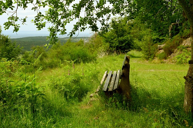 穩定發展 穩定發展